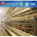 Farm Battery Cage